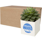 Vaso in alluminio con pianta, cactus Hey Pots