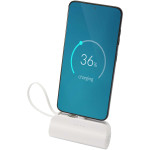 Power bank Tipo-C da 5.000 mAh e 10 W in plastica riciclata...