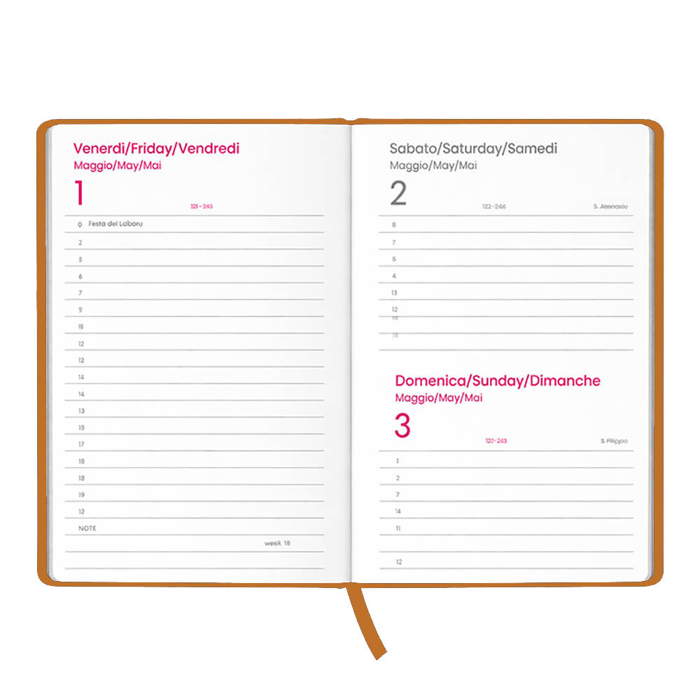 Agenda giornaliera 2027. Copertina rigida in cartoncino laminato opaco