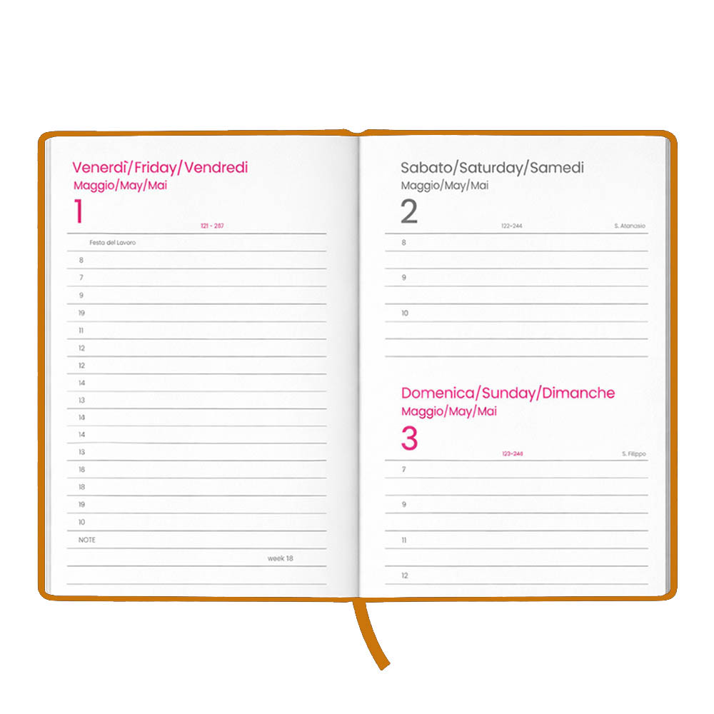 Agenda giornaliera 2027. Copertina rigida in cartoncino laminato opaco.