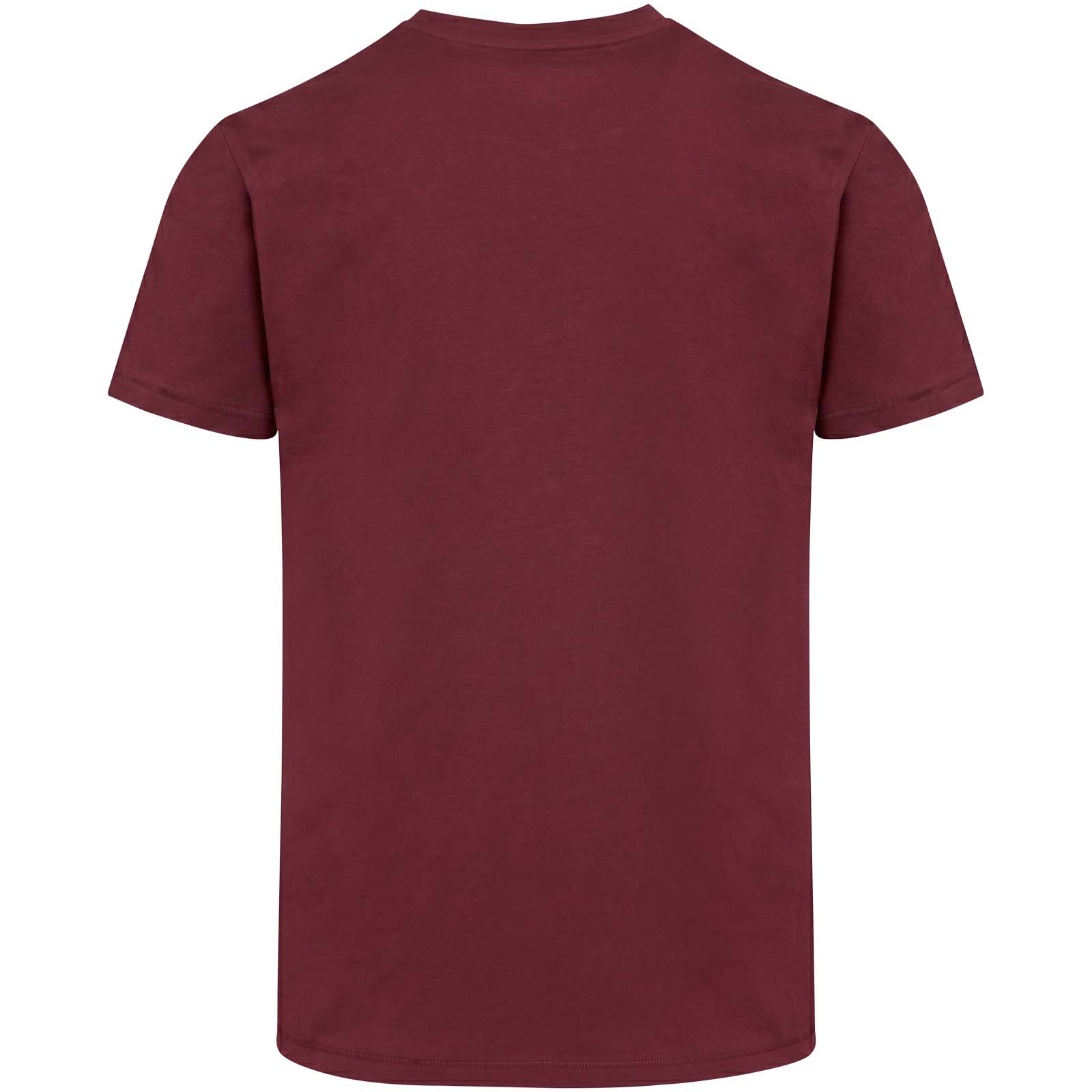T-shirt a maniche corte unisex in tessuto biologico certificato OCS da 200 g/m² Balfour