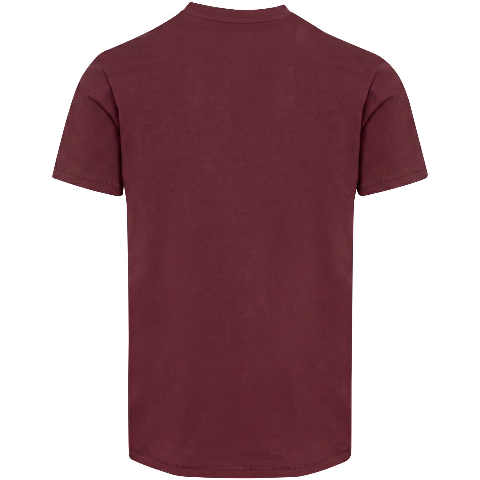 T-shirt a maniche corte unisex con scollo a V in cotone biologico certificato OCS da 200 g/m² Balfour